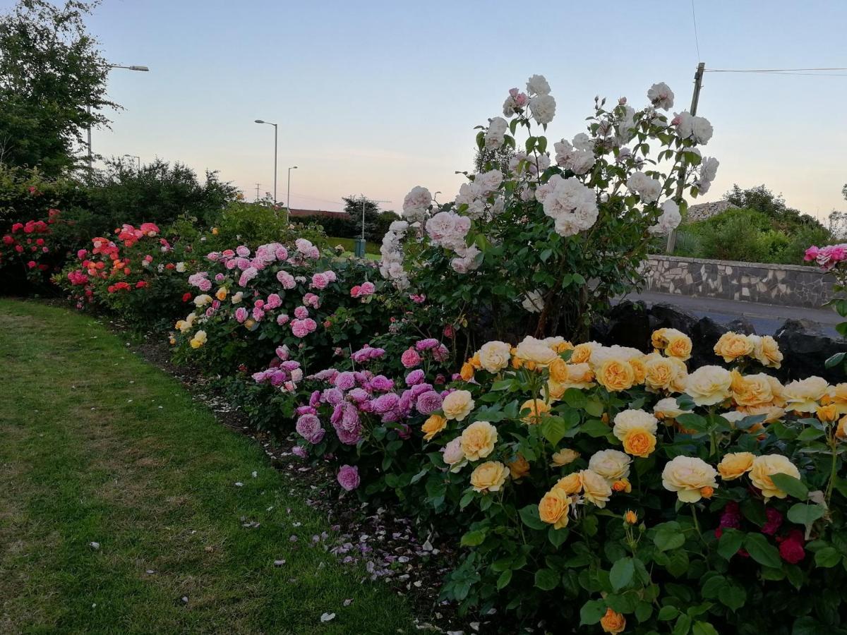 Fox Heaven B&B Carrickfergus Dış mekan fotoğraf