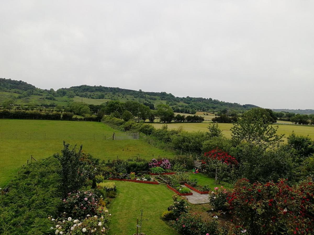 Fox Heaven B&B Carrickfergus Dış mekan fotoğraf